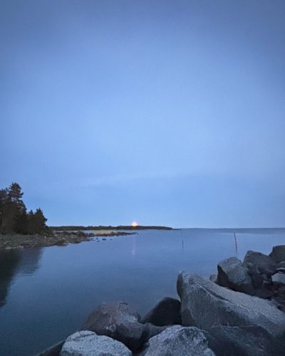 IMG_0308