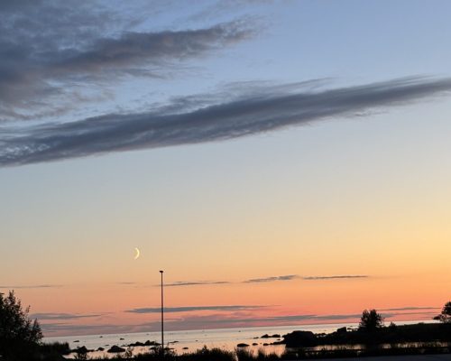 IMG_0683