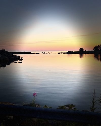 IMG_1548