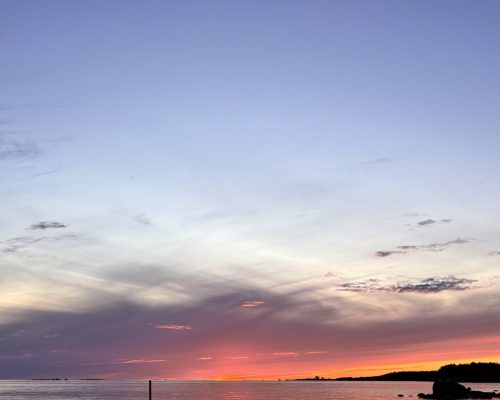 IMG_2299